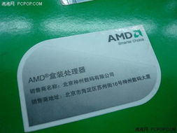 入门就选他！AMD新款闪龙仅260元，广告设计新选择